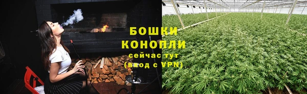 твердый Абаза