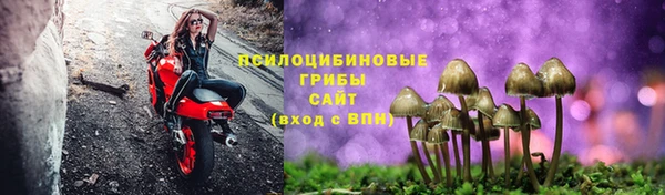 твердый Абаза