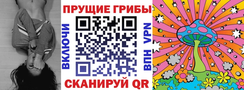 Галлюциногенные грибы прущие грибы  Удомля 